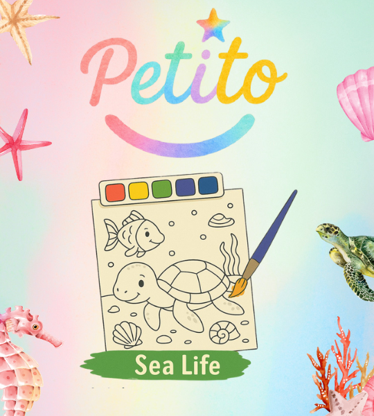Petito-Color-Sea-Life-Banner-1